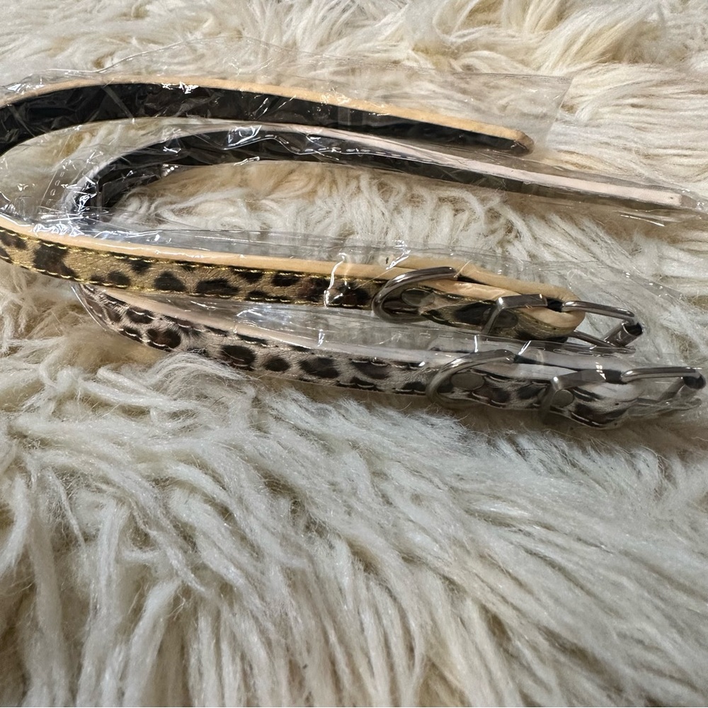 Cheetah leopard print dog collar bundle
